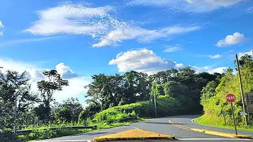 Puerto Rico Highway 805 in Palos Blancos