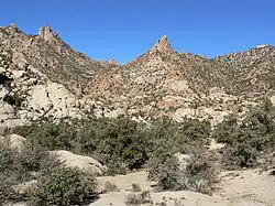 Rocky desert mountains with shrubs and yucca plants in the foreground