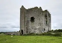 Longford Castle, the O'Madden stronghold