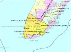 Census Bureau map of Lower Township, New Jersey