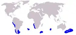 Dusky dolphin range