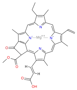 chlorophyll c1