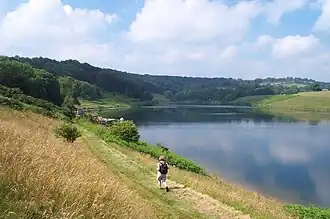 Photo of water and trees with walker on the edge of the water