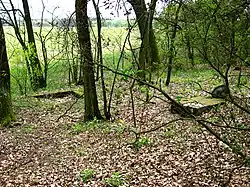 Evangelical cemetery