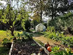 Vegetable garden