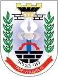 Coat of arms of Nof HaGalil