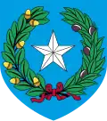 Coat of arms of the Republic of Texas, traditional heraldic shield