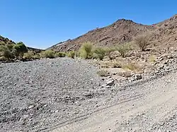 The confluence of the Wadi Esfai with the Wadi Shawka