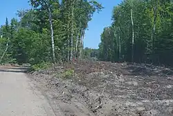 Photograph showing the