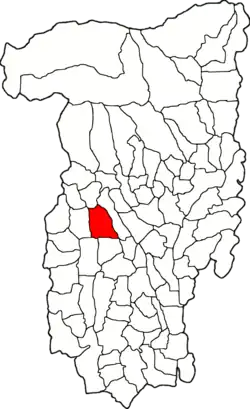 Location in Vâlcea County