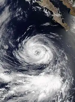 A satellite image of Tropical Storm Cristina at peak intensity