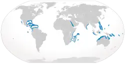 Silvertip shark geographic range