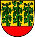 Coat of arms of Grafenberg