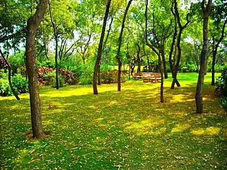 Campus at Dhirubhai Ambani Institute of Information and Communication Technology, Gandhinagar