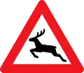 A26: Wild animals crossing