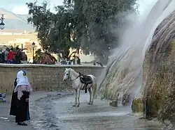 Hammam Debagh (Meskhoutine)