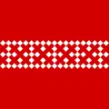 Flag of Dovzhky, Slavuta Raion