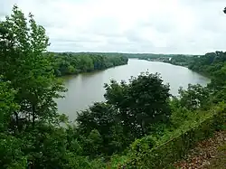 Curving river with thick trees on both sides