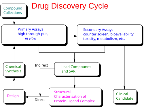 Drug discovery cycle schematic