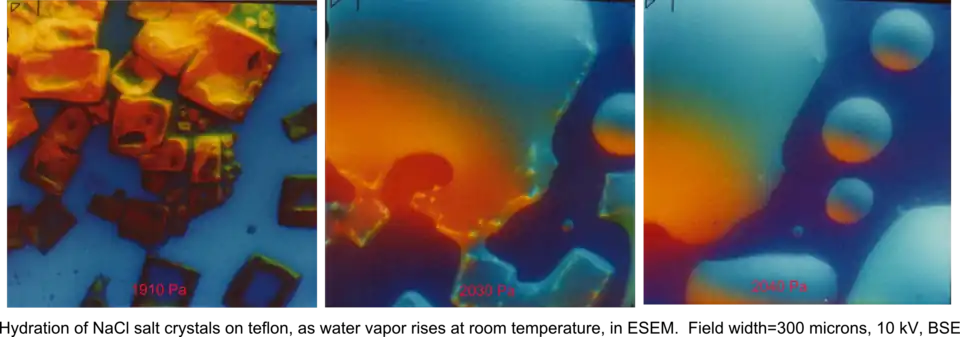 Hydration of NaCl crystals on Teflon, as water vapor pressure rises, at room temperature, in an ESEM by the use of two symmetrical plastic scintillating backscattered electron detectors. Field width 300 μm, 10 kV
