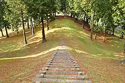 Posterior looking towards anterior