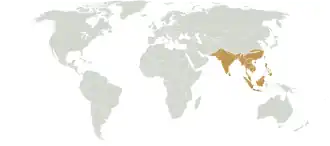 Extent of the Indomalayan biogeographical realm
