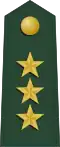 El Salvador (coronel)