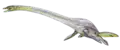 Elasmosaurus platyurus