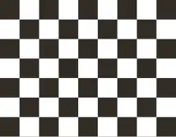 The checkered flag