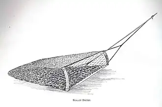 Scallop dredge, 1889