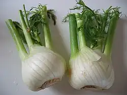 Florence fennel bulbs
