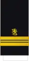 Kapteeniluutnantti Swedish: Kaptenlöjtnant (Finnish Navy)[17]