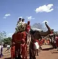 Kennedy rides an elephant in India