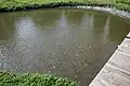 Fish pond