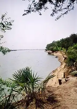 The Logone River in Bongor