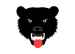 Flag of Flå Municipality