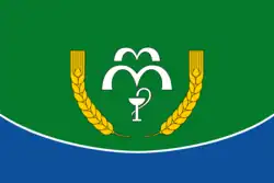 Flag of Kumyonsky District