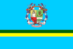 Flag of Naguanagua Municipality