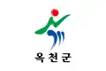 Flag of Okcheon