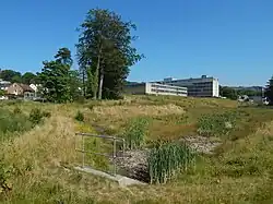 A more modern flood control measure, a flood storage pond, intended to soak up flood water and release it slowly.