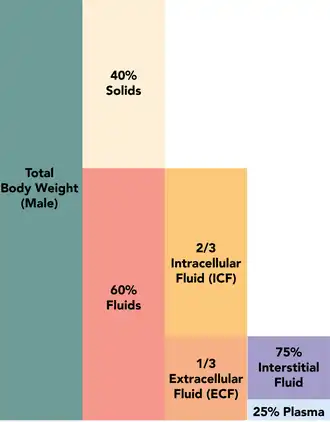 "Fluid composition of the body 1.3" by Alan Sved and David Walsh is licensed under CC BY-SA 4.0.