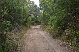 Photo of cleared former rail line formation through bush near Flinders Bay
