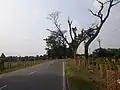 Grand Trunk Road towards Burdwan from Hooghly