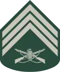 Terceiro-sargento (Brazilian Army)[1]