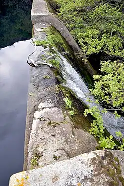 Exit of the Ruisseau de Tavulaghiu