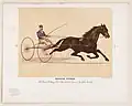 George Wilkes, The Great Trotting Sire, Record 2:22, Driven by John Crooks, 1889, Kinney Bros.