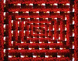 collage by Elizabeth Gill Lui