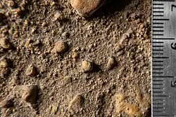 A macro photo of glacio-fluvial parent material. The right side of the image has a scale bar showing the size of particles from over 1cm in length, to smaller than 1mm. The colour of the soil varies from orangeish to blueish-grey.