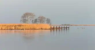  A view of Goëngarijpsterpoelen, one of the Frisian Lakes