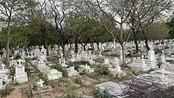 A view overlooking the Gora Qabaristan in Lahore